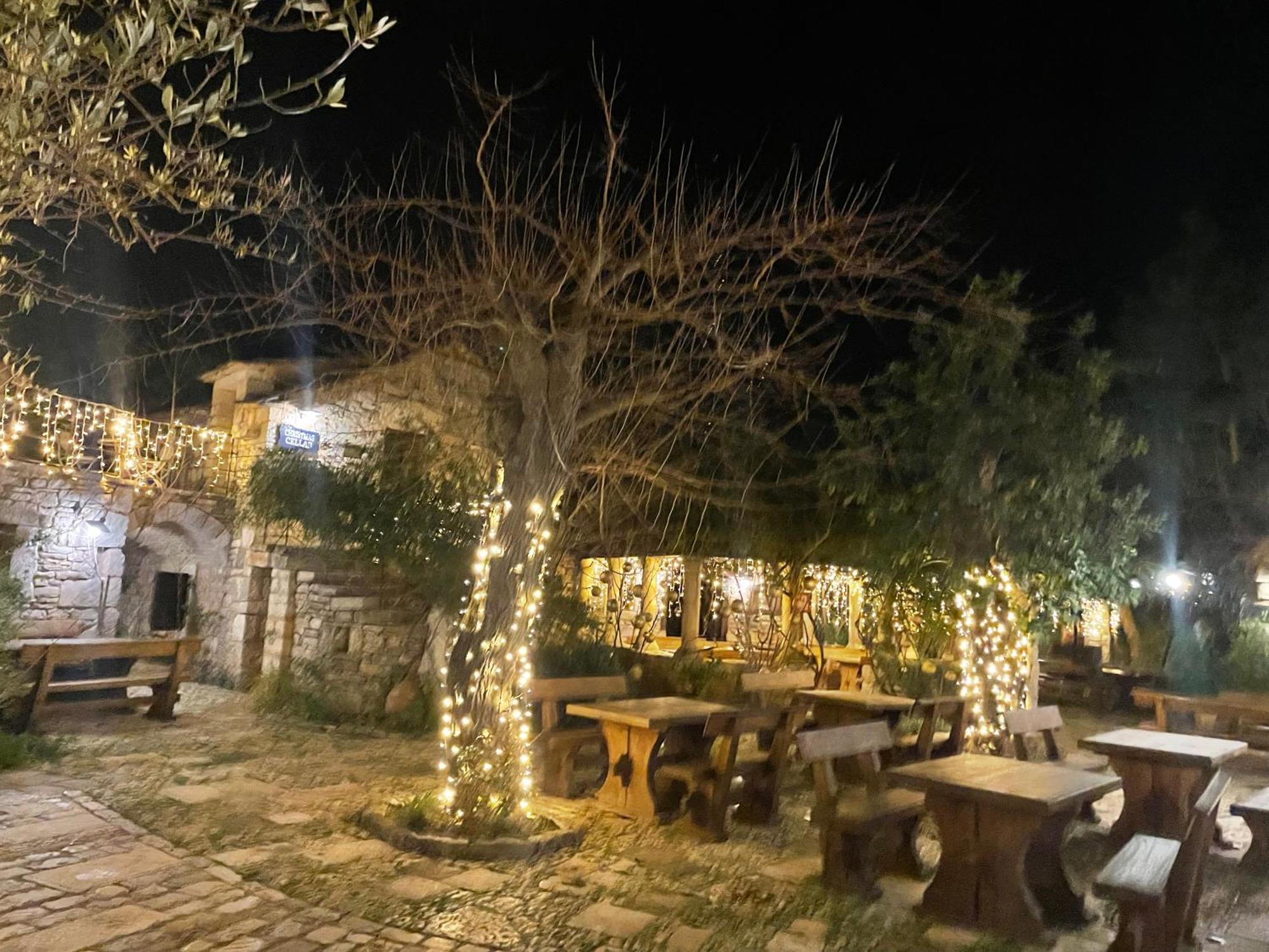 My Adriatic Place With Private Garden And Garage Sibenik Bagian luar foto